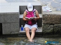 책 읽기엔 여기가 명당