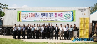 상주, 원황배 미국 첫 수출길 올라