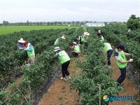 농어촌공사 평택지사, 1박2일 촌 스테이 실시