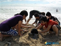 ’바닷가의 추억‚