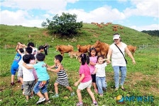 파란 가을하늘 아래 한우들과 함께