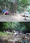 새소리, 물소리, 용현자연휴양림에서 느껴보세요
