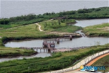 낙동강 화명지구 생태하천