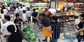 金 배추, 할인판매 합니다!