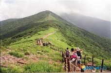 국립자연휴양림관리소 평창거문초교 초청 산림문화행사