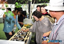 한방엑스포 약초허브전시판매장