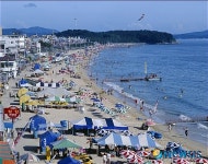 올 여름 대천해수욕장 피서객 890만명 찾았다,