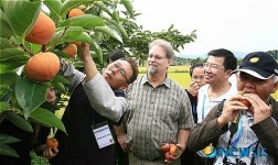 단감맛에 푹 빠진 FAO 아태총회 일행