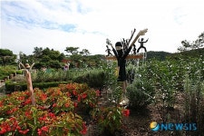 신세대 허수아비 등장한 포천 허브아일랜드