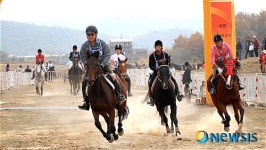 전국 말(馬)한마당축제, 영천서 8일 팡파르