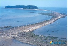 전어·대하 먹고 무창포 '신비의 바닷길’도 체험