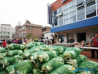 광진구, 배추 1000포기 공급
