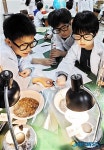 [소식]강원대학교, 어린이 생활과학교실 수강생 모집