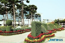 가을빛 물든 구청 광장