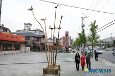 대구 서구청 서대구로 솟대 명물거리로 조성