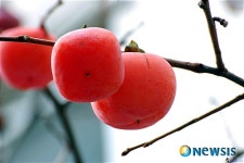 대곡 화성파크드림 모델하우스 특별행사 진행
