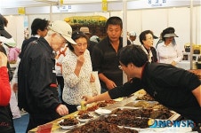 발효식품의 모든 것