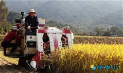 콤바인 모는 이기수 총장