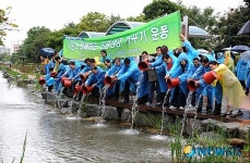 국제평화기념사업회, 유엔의날 맞이 금붕어 방류
