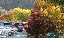 오색찬란한 백담사 길목