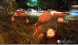 부산, 고가도로 친환경 녹지공간 탈바꿈
