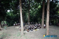 11월의 경주·양평·문경·진천·진도, 술냄새 진동한다