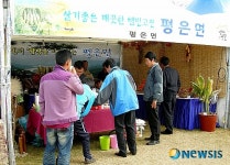 영주, 평은면 벤치마킹 통한 지역축제 방안 모색