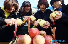 누가 더 잘 깎나?