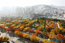 자연이 그린 수채화