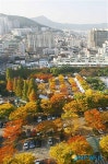 자연이 그린 수채화