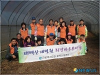 태백산재병원 희망마루자원봉사단, 농촌일손돕기 전개