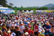 녹차 마라톤 대회 20일 보성공설운동장서 개최