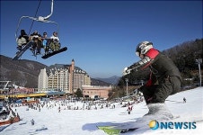 위메프, 양지파인리조트 전일권 70% 할인 판매