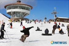 하이원리조트 스키장 19일 개장