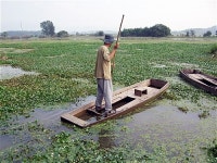 창녕 우포늪 천연기념물 지정 예고