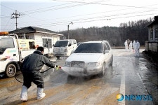 [종합]안동 와룡면, 구제역 의심 2개 농가 조사중