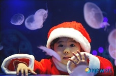 CJ 그림책 축제 8일 개막, 수상작·창작