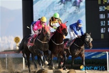 부경경마공원 오너스컵서 천년대로 우승