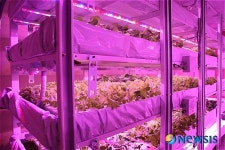 ㈜참농원 식물공장 기업부설연구소 국내 처음 인증 받아