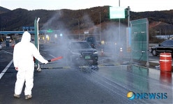 고령군, 구제역차단에 민관 총동원