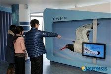 서천 철새 여행 막 올라