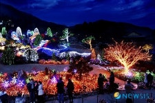 아침고요수목원 오색별빛정원전, 동화속 환상의 세계로 오세요