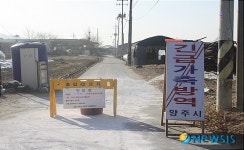 [종합 2보]양주 연천 긴급 살처분…3㎞확대시 8만 마리 매립