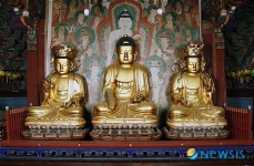 진주 청곡사 목조석가여래삼존좌상 등 보물 지정
