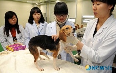 미리 가 본 수의과대학 고교생 전공체험