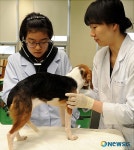 수의과대학 전공활동 체험해요!