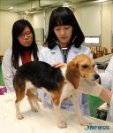 미리 가 본 수의과대학은?