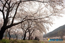 동산동 근대문화거리 등 대구 아름다운 거리 선정