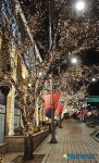 아름다운 빛의 거리