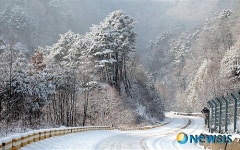 평화의 댐 가는 길 설경